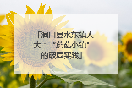 洞口县水东镇人大：“蘑菇小镇”的破局实践