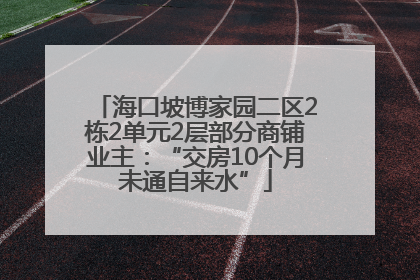 海口坡博家园二区2栋2单元2层部分商铺业主：“交房10个月未通自来水”