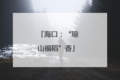 海口:“琼山福稻”香