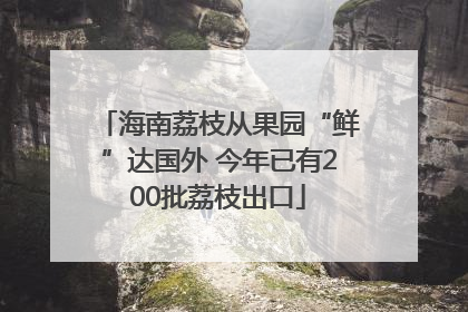 海南荔枝从果园“鲜”达国外 今年已有200批荔枝出口