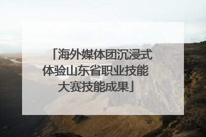 海外媒体团沉浸式体验山东省职业技能大赛技能成果