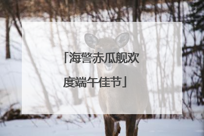 海警赤瓜舰欢度端午佳节