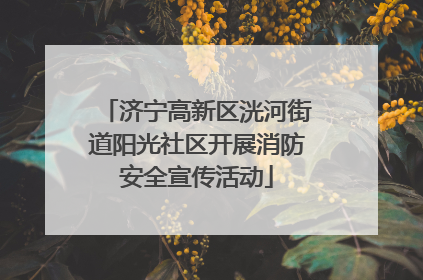 济宁高新区洸河街道阳光社区开展消防安全宣传活动