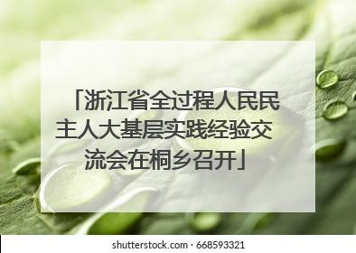 浙江省全过程人民民主人大基层实践经验交流会在桐乡召开