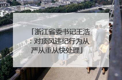 浙江省委书记王浩：对顶风违纪行为从严从重从快处理
