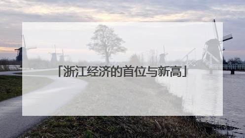 浙江经济的首位与新高