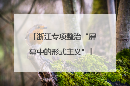 浙江专项整治“屏幕中的形式主义”