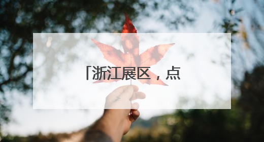 浙江展区，点燃深圳文博会