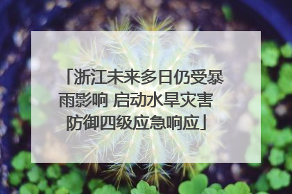 浙江未来多日仍受暴雨影响 启动水旱灾害防御四级应急响应