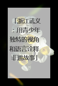 浙江武义：用青少年独特的视角和语言诠释非遗故事