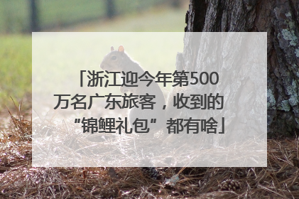 浙江迎今年第500万名广东旅客，收到的“锦鲤礼包”都有啥