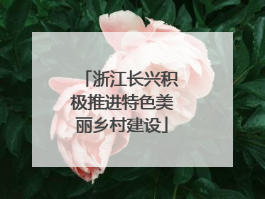 浙江长兴积极推进特色美丽乡村建设