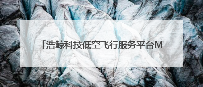 浩鲸科技低空飞行服务平台MWC上海首秀，推动产业创新