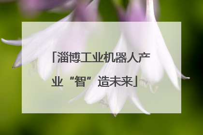 淄博工业机器人产业“智”造未来