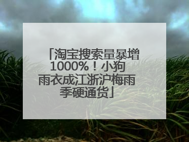 淘宝搜索量暴增1000%！小狗雨衣成江浙沪梅雨季硬通货