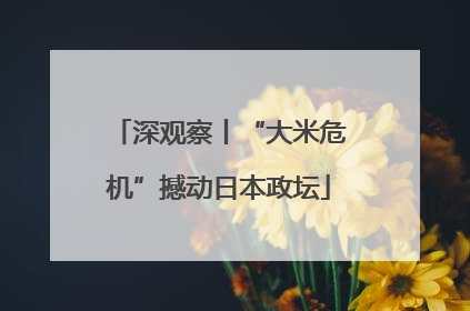 深观察丨“大米危机”撼动日本政坛