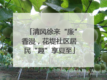 清风徐来“廉”香漫，花堤社区居民“趣”享夏至
