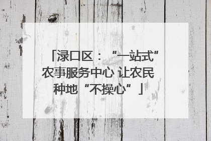 渌口区：“一站式”农事服务中心 让农民种地“不操心”