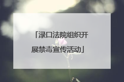 渌口法院组织开展禁毒宣传活动