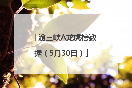 渝三峡A龙虎榜数据（5月30日）