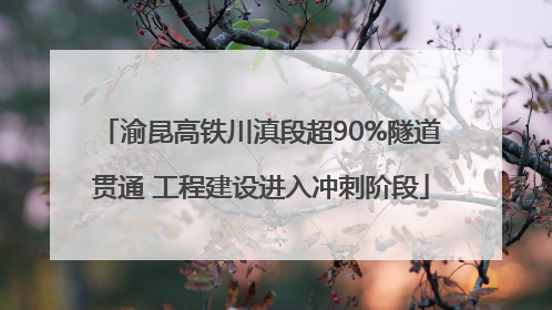 渝昆高铁川滇段超90%隧道贯通 工程建设进入冲刺阶段