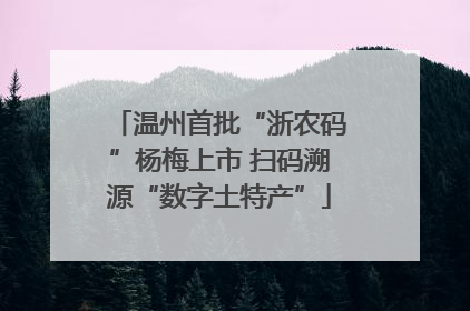 温州首批“浙农码”杨梅上市 扫码溯源“数字土特产”