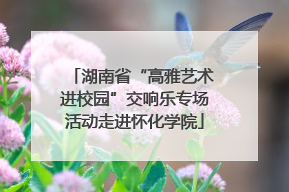 湖南省“高雅艺术进校园”交响乐专场活动走进怀化学院