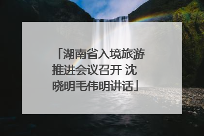 湖南省入境旅游推进会议召开 沈晓明毛伟明讲话