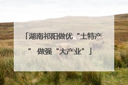 湖南祁阳做优“土特产” 做强“大产业”
