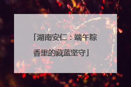 湖南安仁：端午粽香里的藏蓝坚守