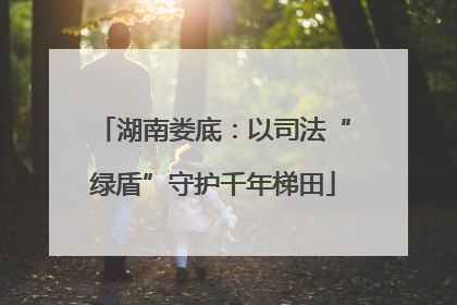 湖南娄底：以司法“绿盾”守护千年梯田
