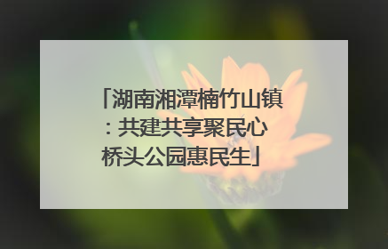 湖南湘潭楠竹山镇：共建共享聚民心 桥头公园惠民生