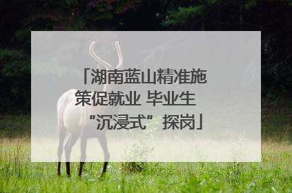 湖南蓝山精准施策促就业 毕业生“沉浸式”探岗