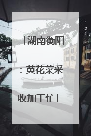 湖南衡阳：黄花菜采收加工忙