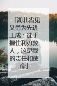 湖北省见义勇为先进王成：徒手握住利刃救人，这是我的责任和使命
