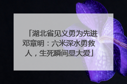湖北省见义勇为先进邓章明：六米深水勇救人，生死瞬间显大爱