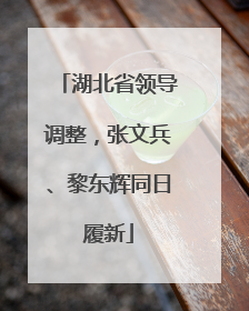 湖北省领导调整，张文兵、黎东辉同日履新