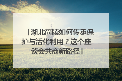 湖北简牍如何传承保护与活化利用？这个座谈会共商新路径