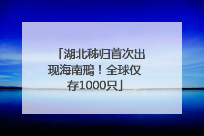 湖北秭归首次出现海南鳽！全球仅存1000只