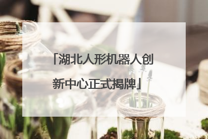湖北人形机器人创新中心正式揭牌