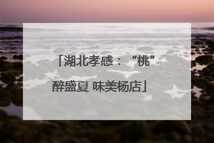 湖北孝感：“桃”醉盛夏 味美杨店