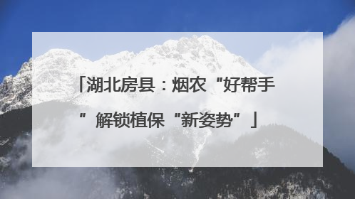 湖北房县：烟农“好帮手”解锁植保“新姿势”