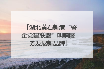 湖北黄石新港“警企党建联盟”叫响服务发展新品牌