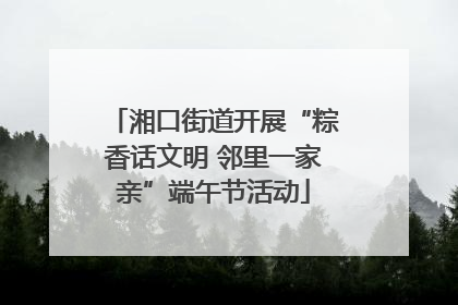 湘口街道开展“粽香话文明 邻里一家亲”端午节活动