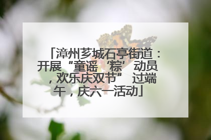 漳州芗城石亭街道：开展“童谣‘粽’动员，欢乐庆双节” 过端午，庆六一活动