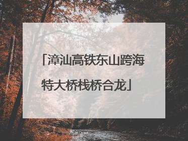 漳汕高铁东山跨海特大桥栈桥合龙