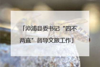 漳浦县委书记“四不两直”督导文旅工作