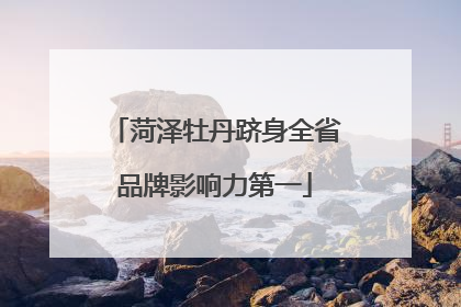 菏泽牡丹跻身全省品牌影响力第一