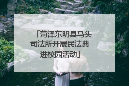 菏泽东明县马头司法所开展民法典进校园活动