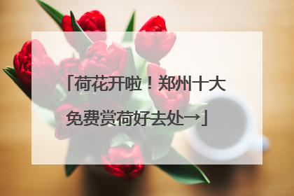 荷花开啦！郑州十大免费赏荷好去处→